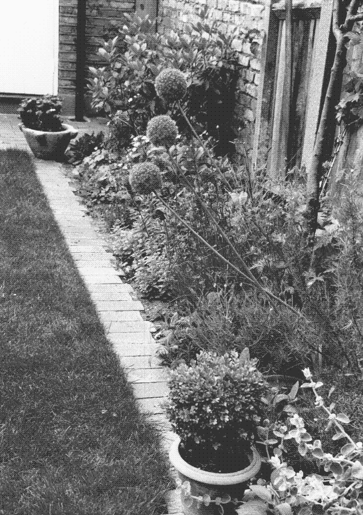 Click to load the original image Example scan of an already printed image (dithered)